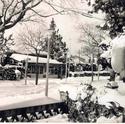 7122: 1962: La nit de Nadal del 1962 va sorprendre a tota la població per una gran nevada que colgaria els carrers de neu. 
